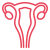 6.uterus